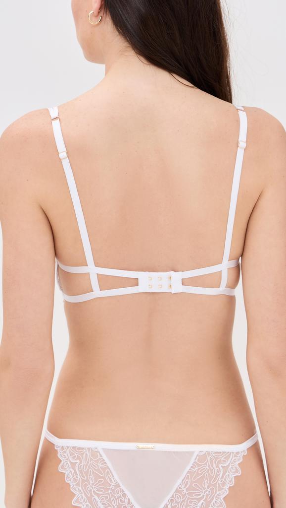 BLUEBELLA Audrey Wired Bra