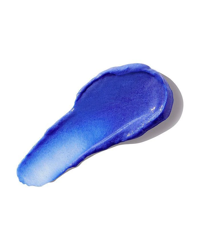 Christophe Robin Shade Variation Care Mask 8.3 oz. 3