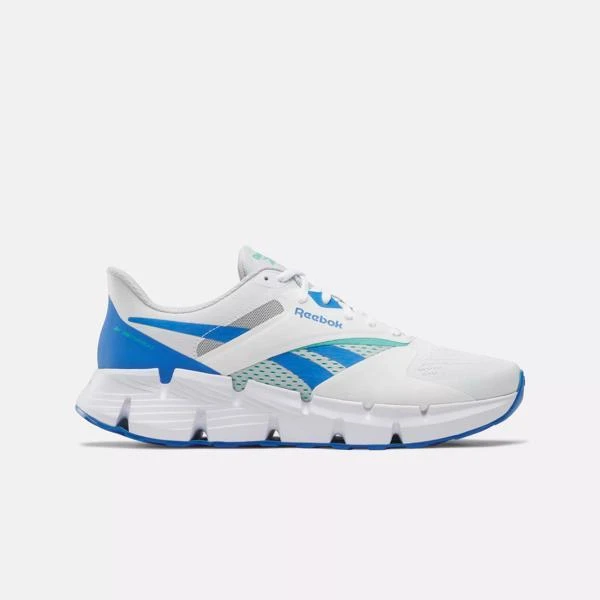 Reebok Zig Dynamica 5 Shoes 1