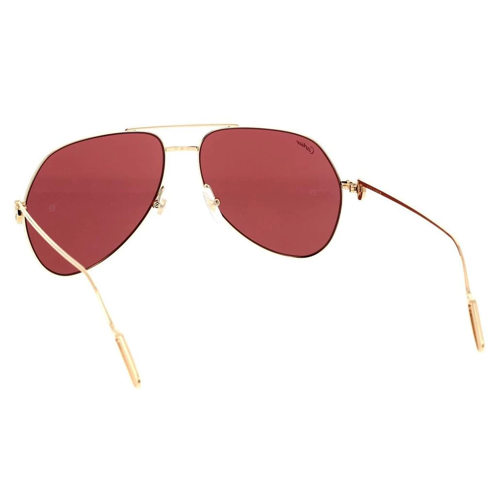 Cartier Cartier Sunglasses 4
