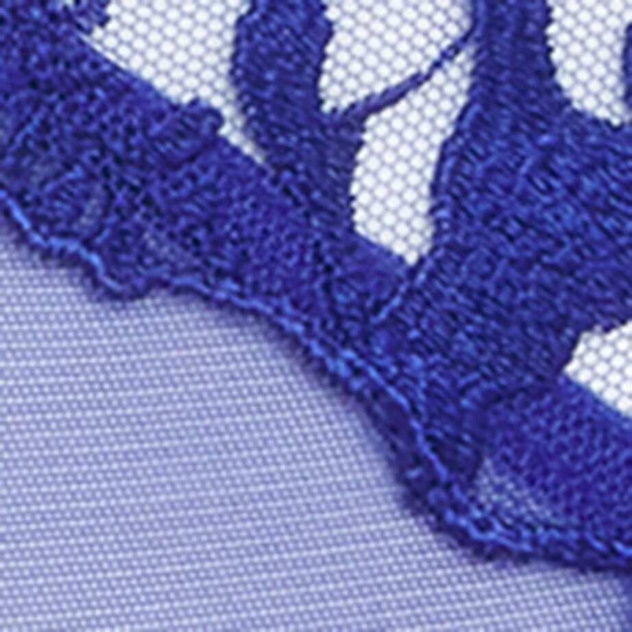Maison Lejaby Lace Sin Tanga 5