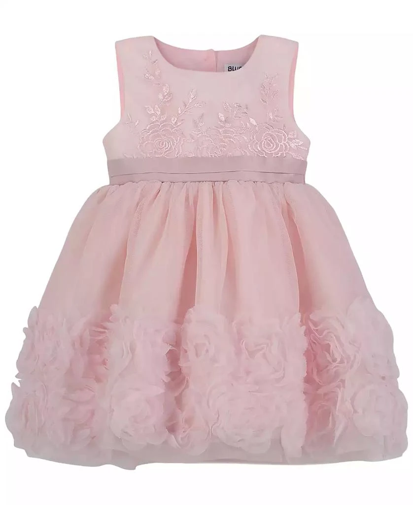 Blueberi Boulevard Baby Girls Fit-and-Flare Embroidered Dress with Rosettes 3