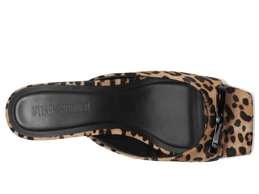 Steve Madden Meme 2