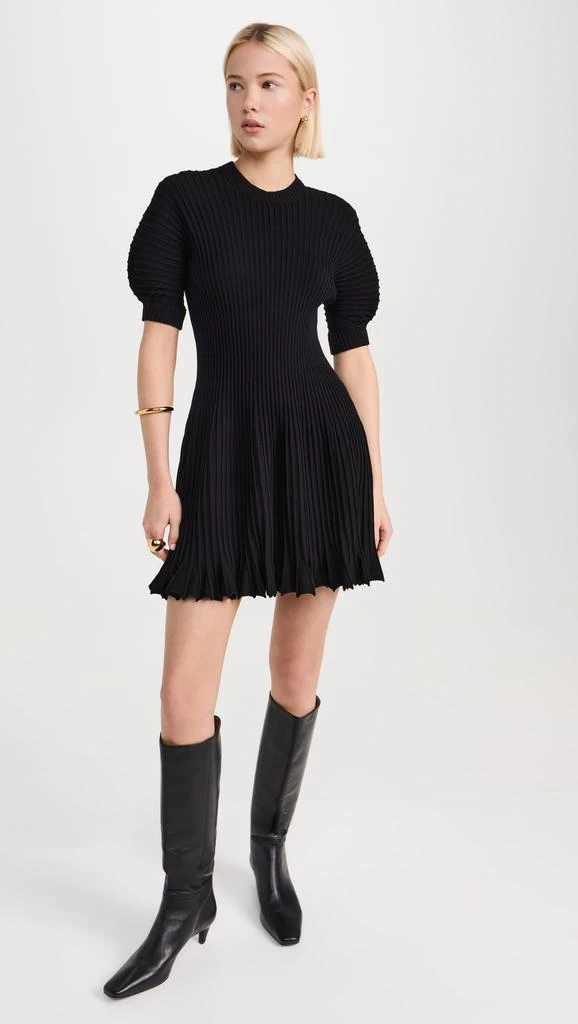Ulla Johnson Talie Dress 4