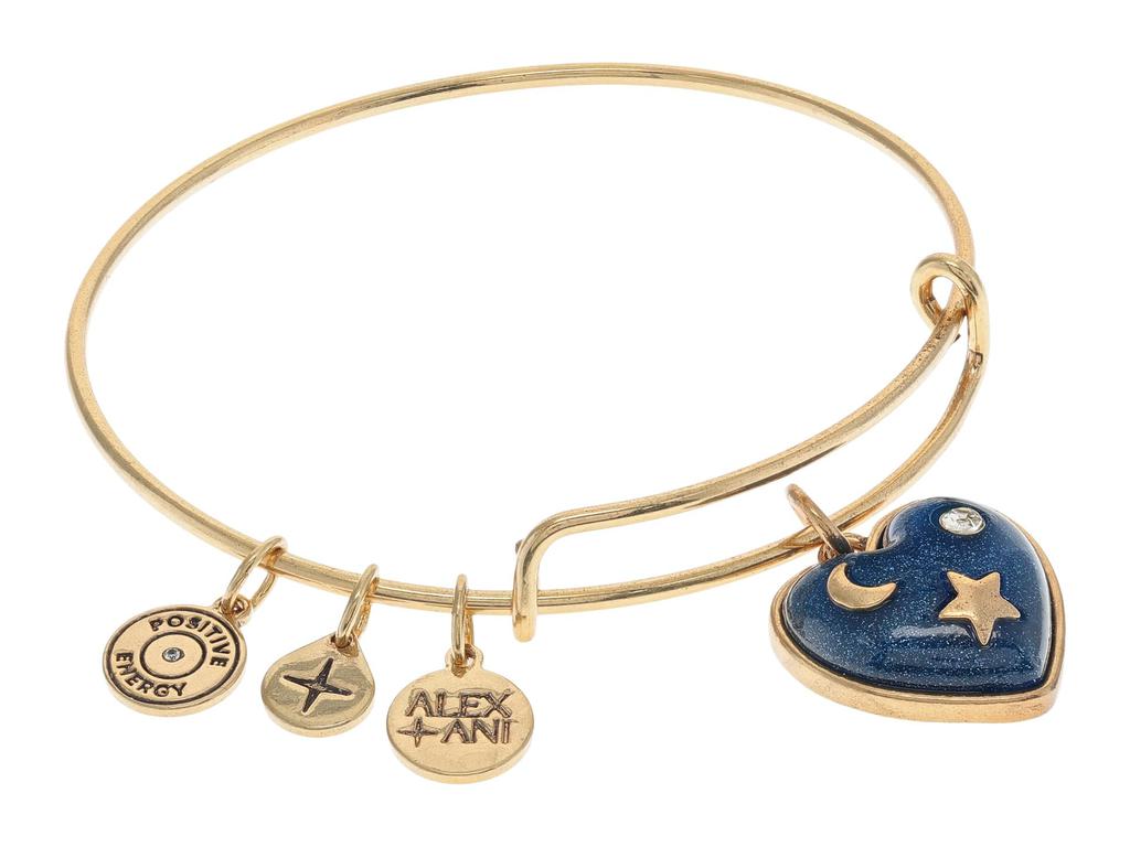 Alex and Ani Path of Symbols Heart Bracelet