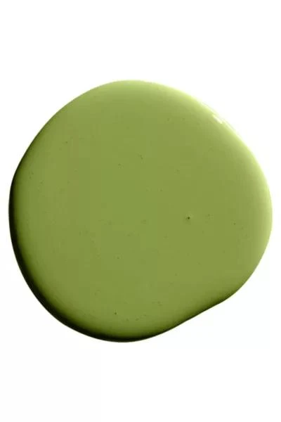 Backdrop Backdrop Standard Finish Paint - 1 Gallon 3