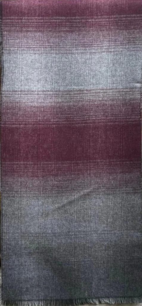 V. FRAAS V. Fraas - Women
s Colorblock Reversible Scarf 2