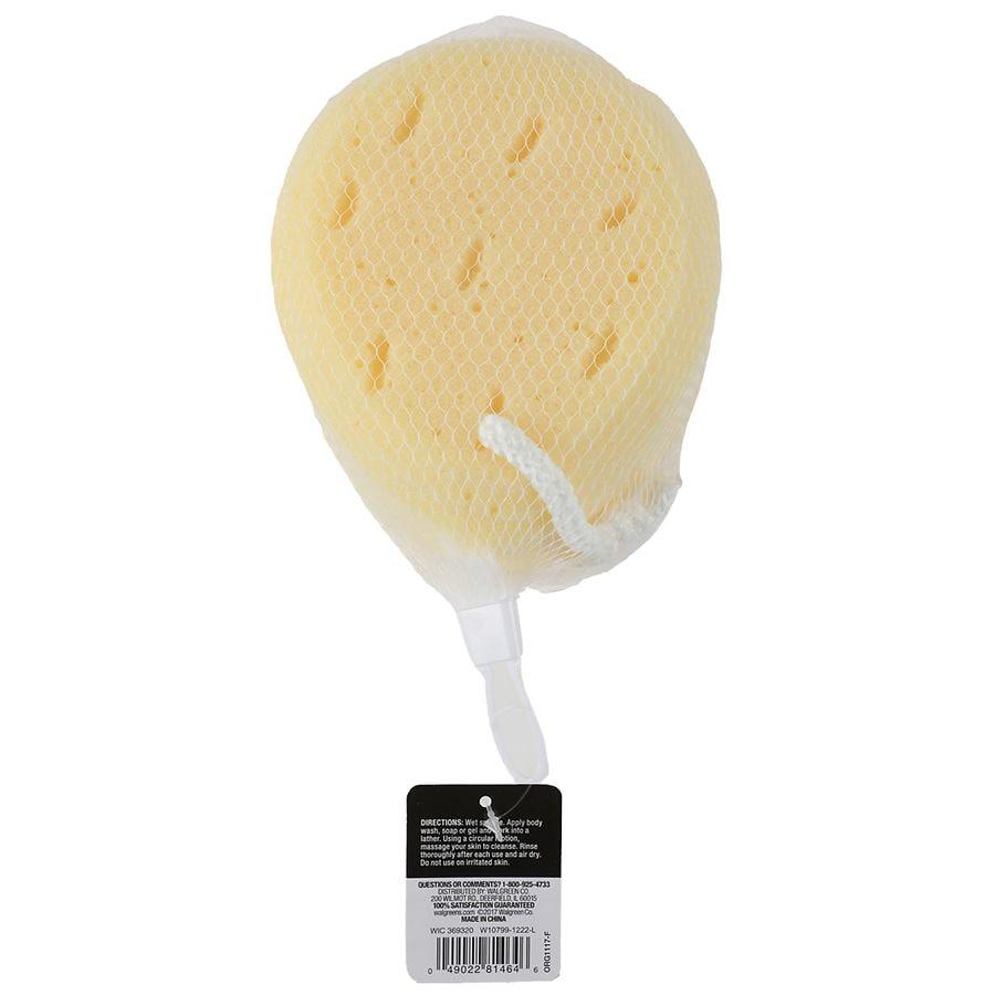 Studio 35 Faux Bath Sea Sponge