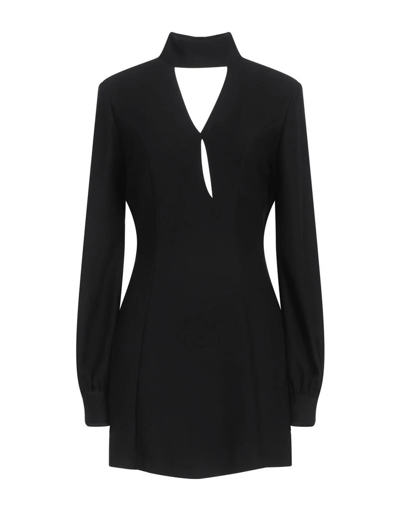 Raquel Diniz Sheath dress 1