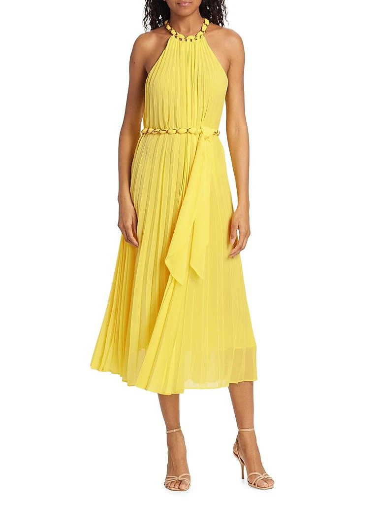Zimmermann Sunray Pleated Dress 2