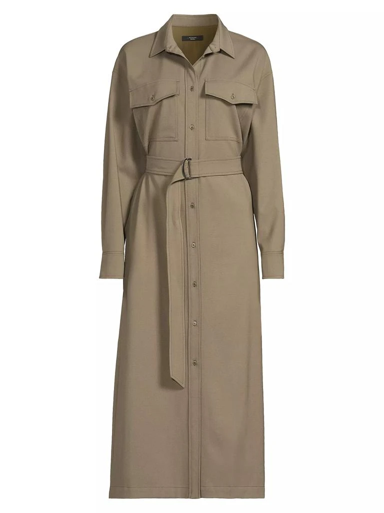Weekend Max Mara Clown Belted Midi Shirtdress 1
