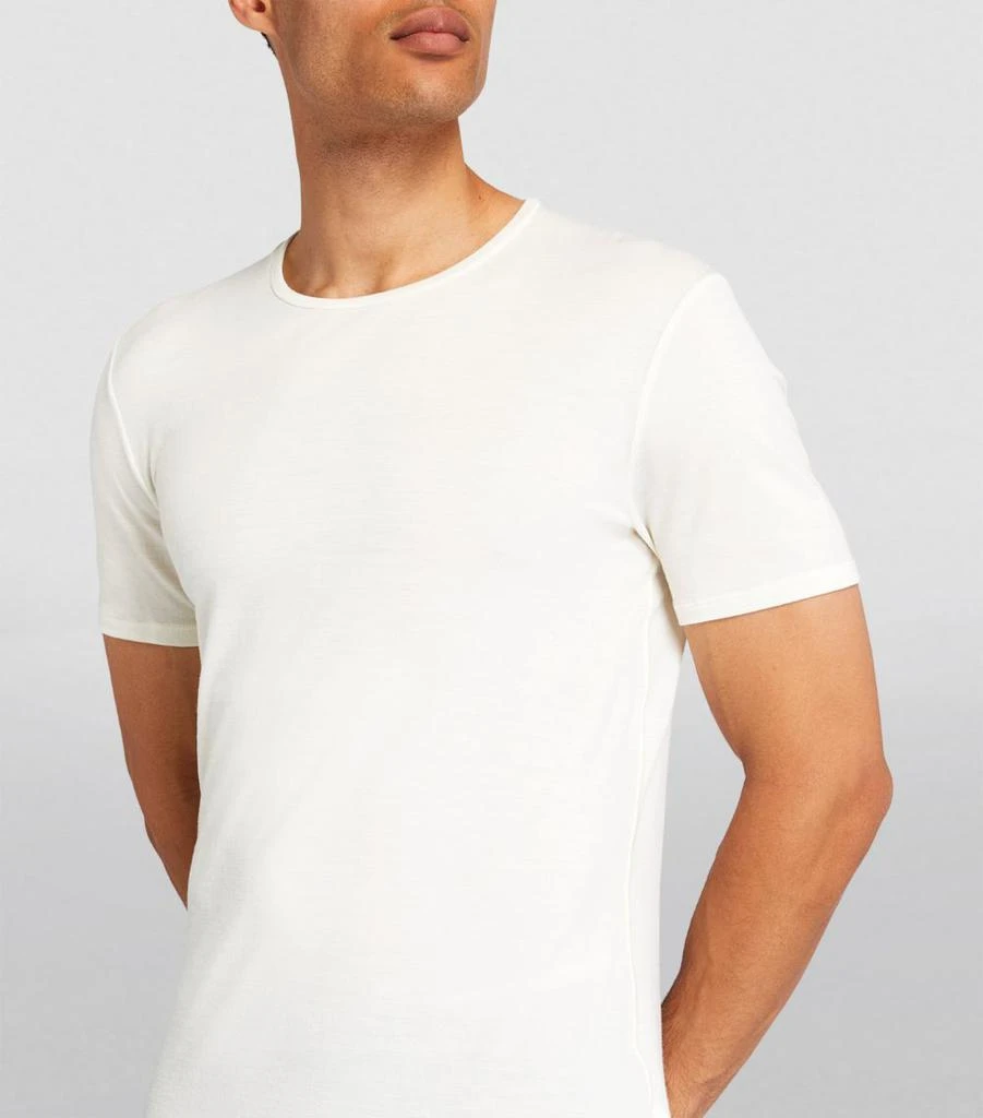 Icebreaker Merino Wool-Blend Anatomica Base Layer T-Shirt 6