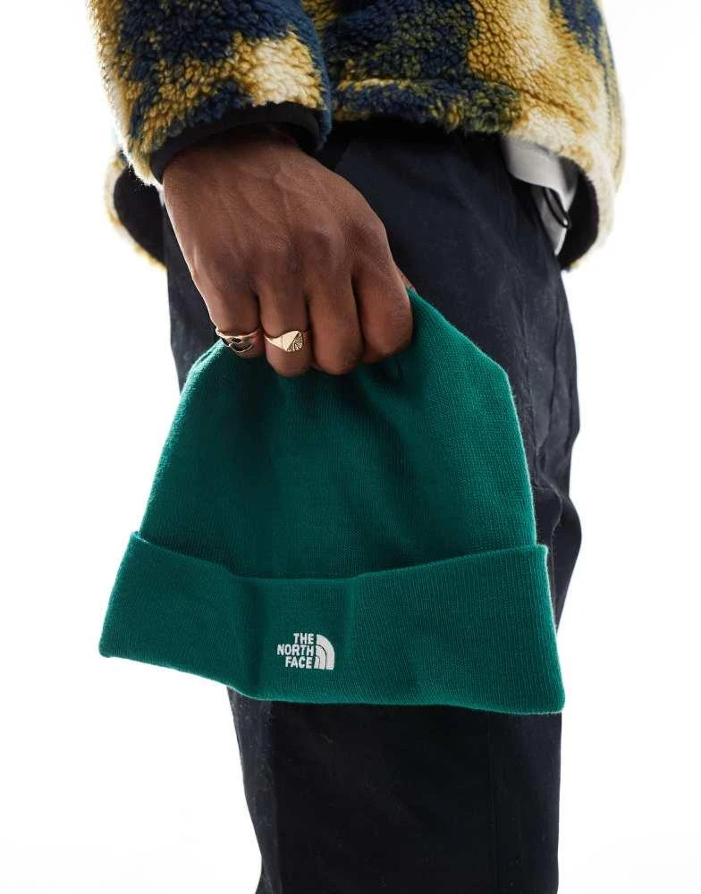 The North Face The North Face Norm logo beanie hat in green 4