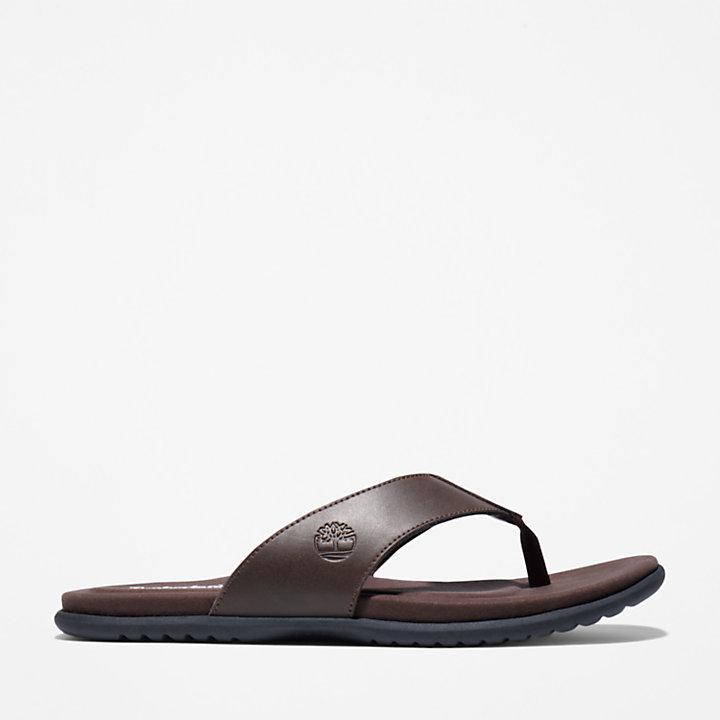 Timberland Kesler Cove Toe-bar Sandal for Men in Dark Brown