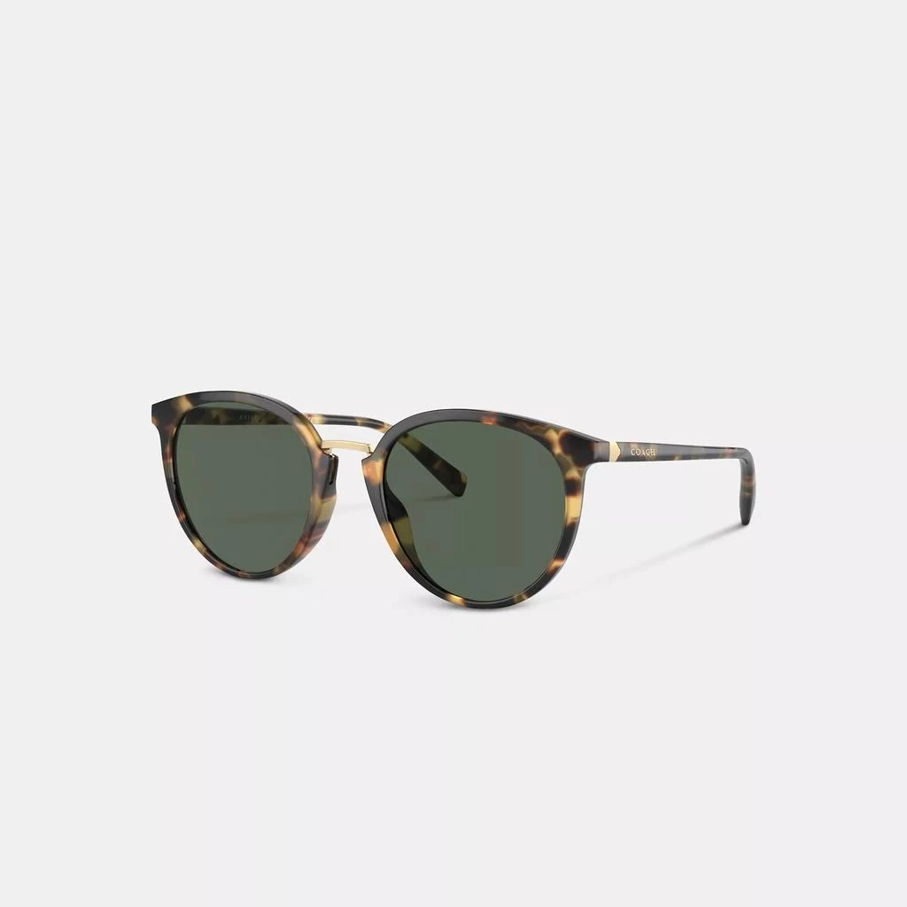 Hangtag Round Sunglasses – On Sale Now with Up to 46% Off  display picture 1