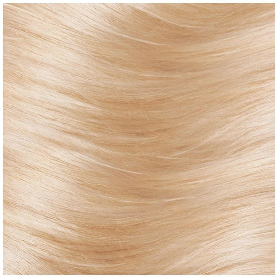 L'Oreal Paris Permanent Hair Color 2