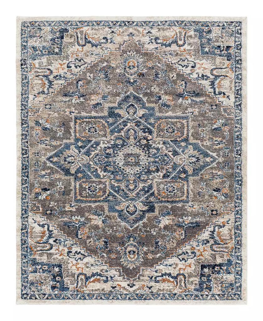 Surya Tuscany TUS-2334 6'7x9'6 Area Rug