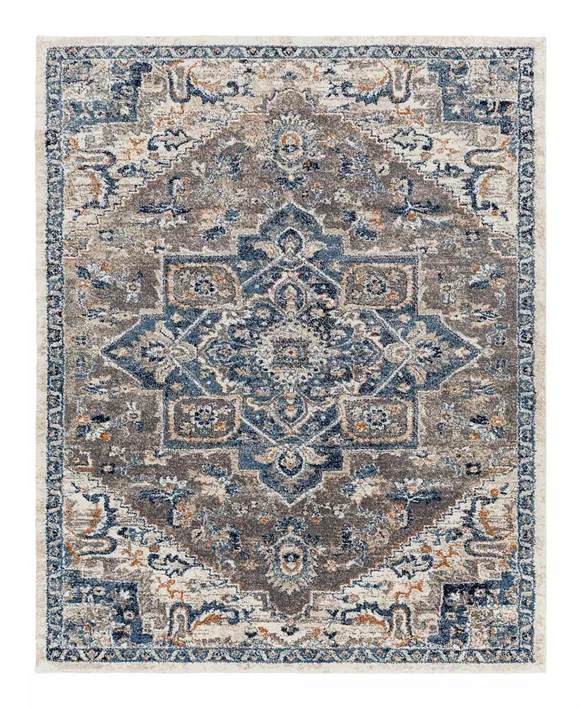 Surya Tuscany TUS-2334 6'7x9'6 Area Rug 1