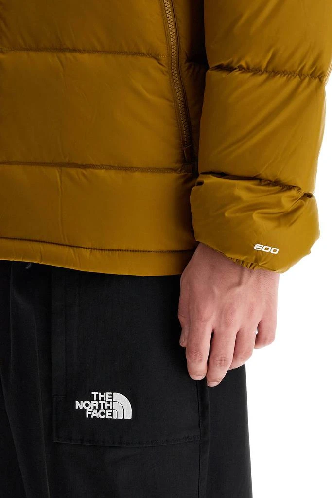 THE NORTH FACE hydrenalite hooded 4