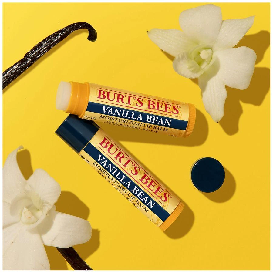 Burt's Bees Vanilla Bean Moisturizing Lip Balms Pack Vanilla Bean 3