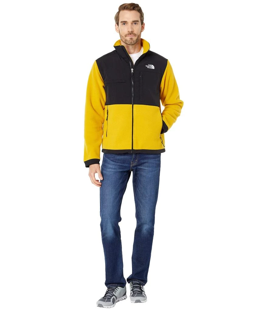 The North Face Denali 2 Jacket 4