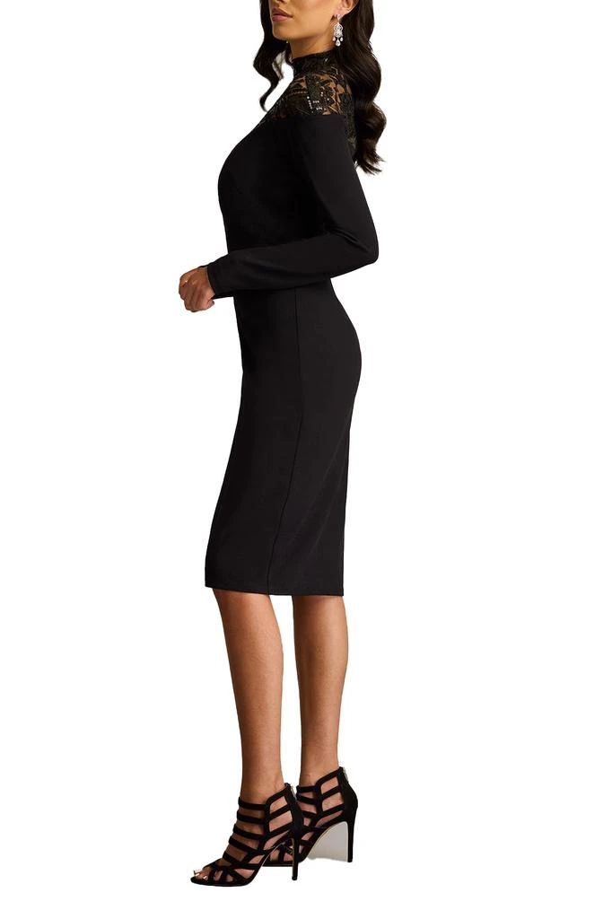 Tadashi Shoji Ebony Deep V Illusion Dress 4