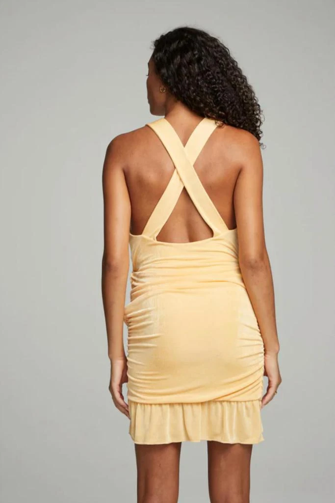 Chaser Westside Mini Dress 4