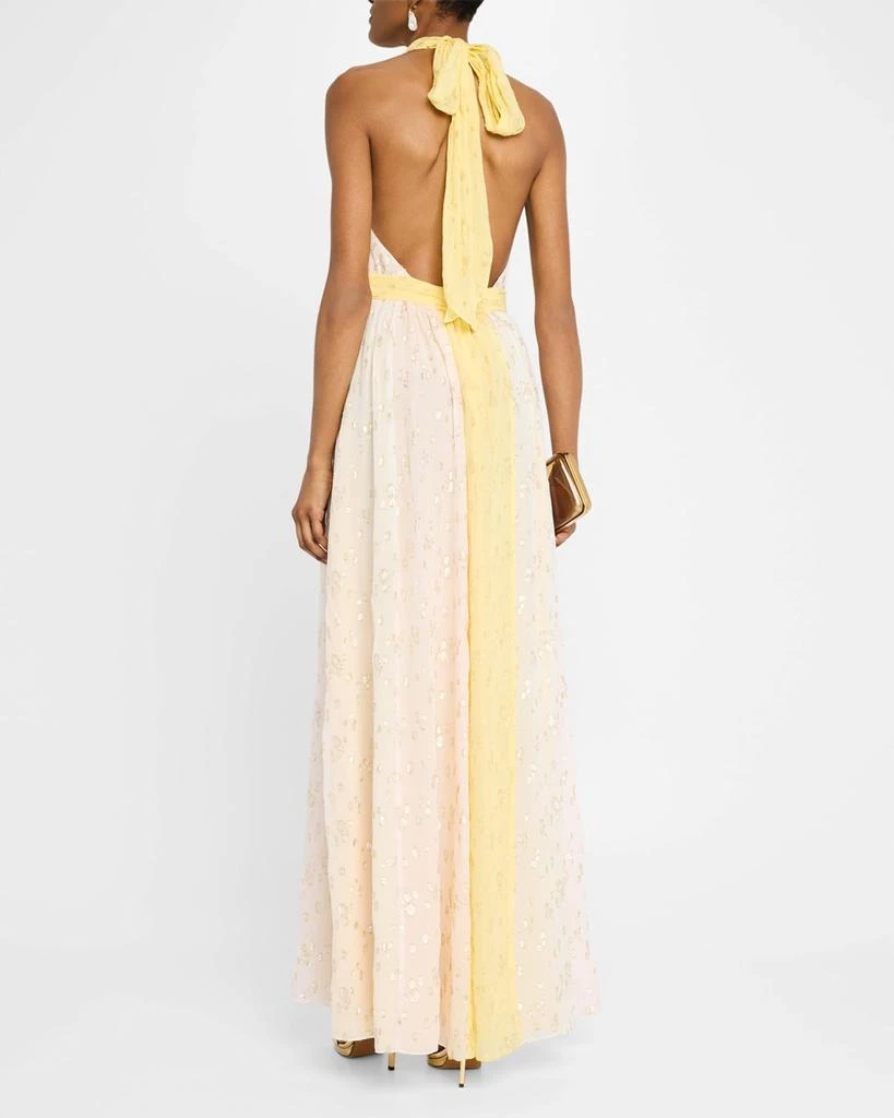Ramy Brook Leigh Deep V-Neck Fil Coupe Halter Gown 3