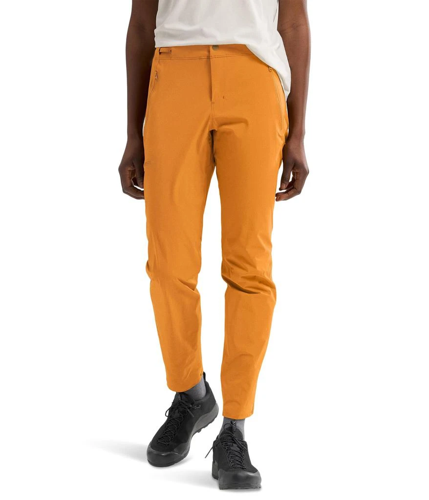 Arc'teryx Gamma Lightweight Pants 1