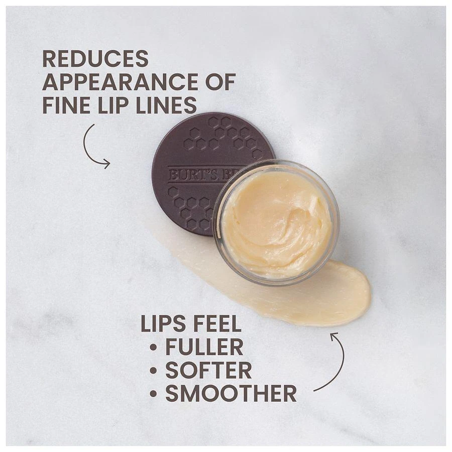 Burt's Bees Overnight Lip Treatment for Dry Lips 6