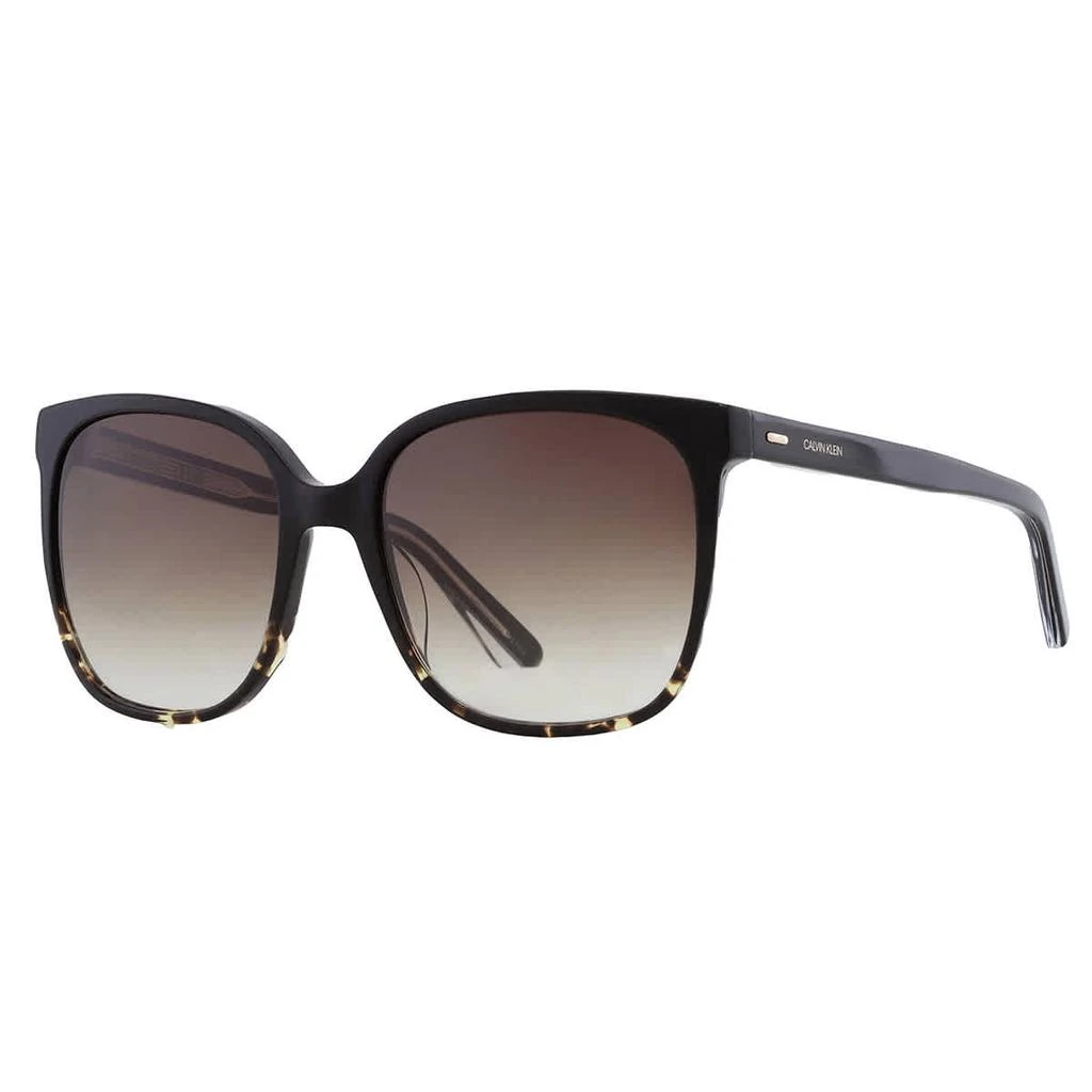 Calvin Klein Calvin Klein Brown Square Ladies Sunglasses CK21707S 033 57 3