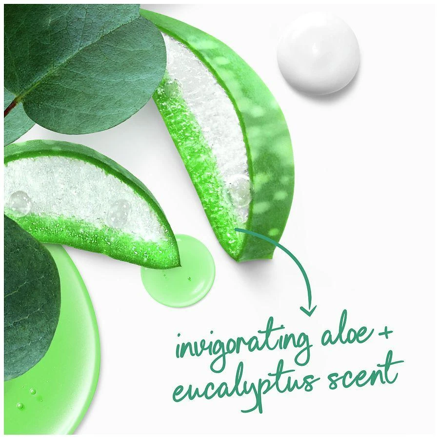 Dove Body Wash Invigorate Aloe 
Eucalyptus Oil 6