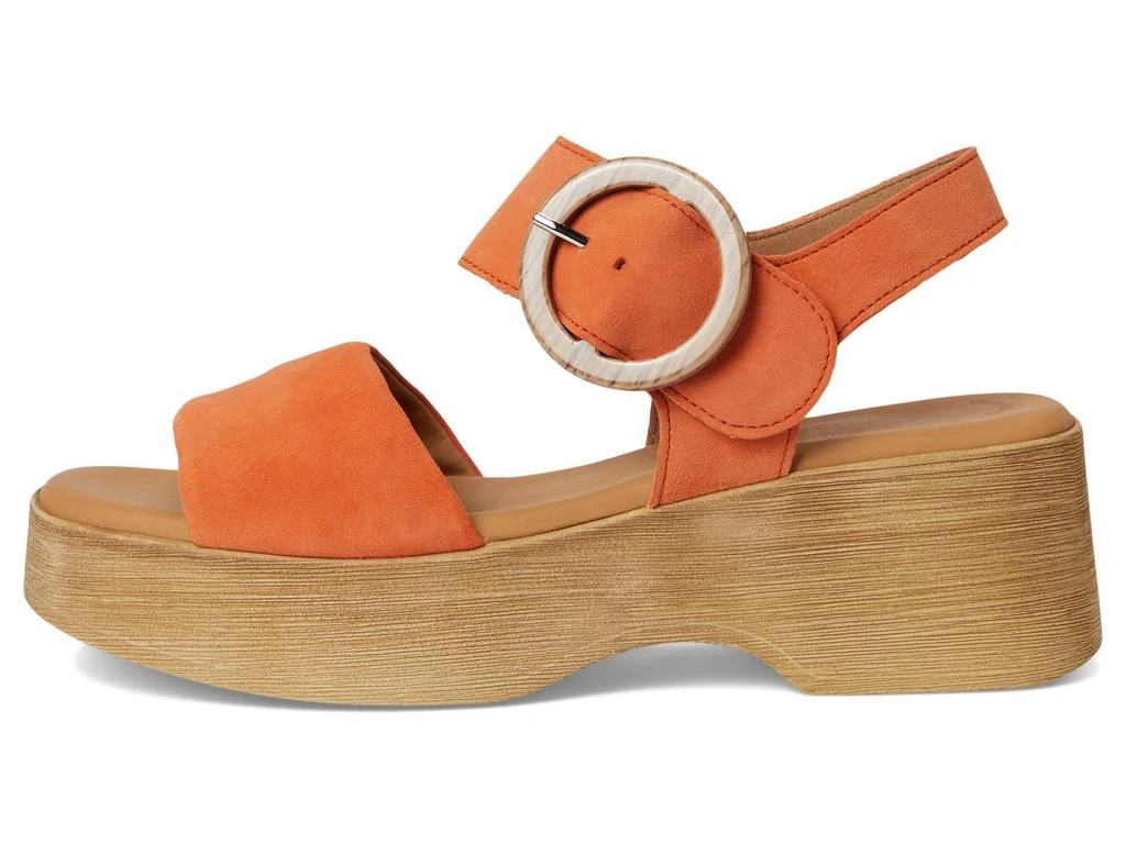 Gabor Gabor 64.520 4