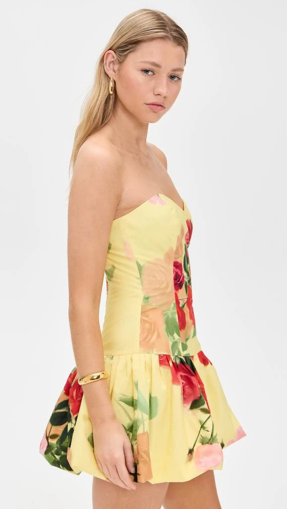 Cara Cara Elena Dress 3