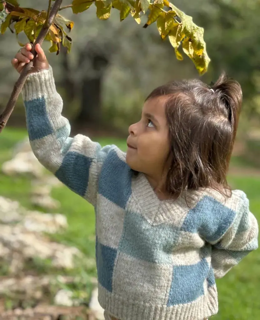 VIGNETTE Vignette - Girls Jackie Checker Sweater