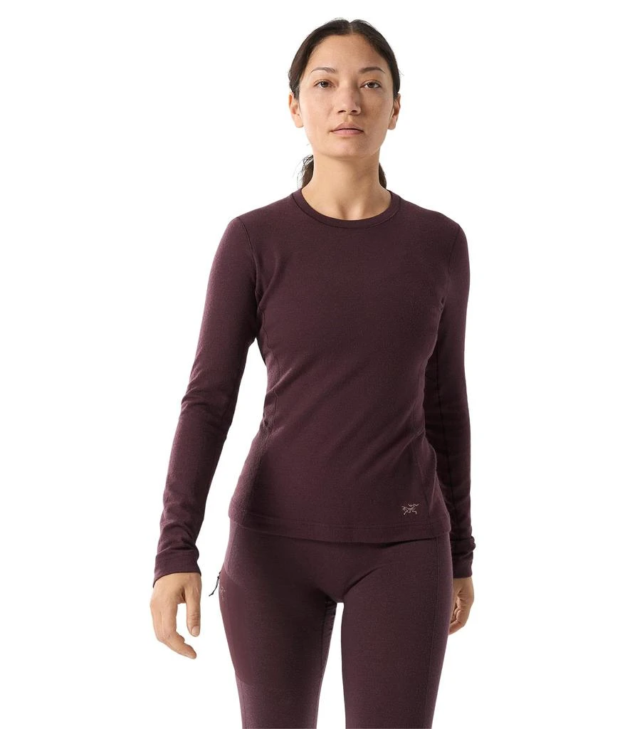 Arc'teryx Satoro Merino Wool Crew 1