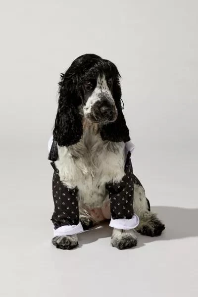 Urban Outfitters Wednesday Addams Pet Costume 1