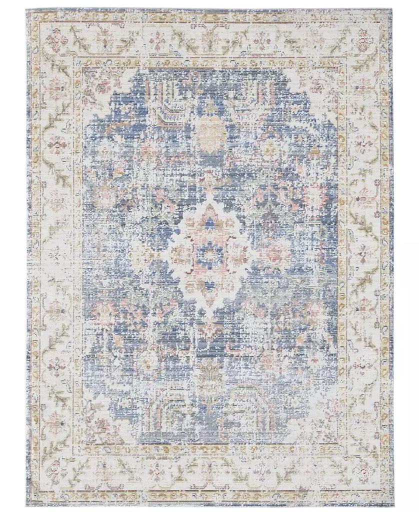 Amer Rugs Century CEN-18 Indigo 3'11" x 5'11" Area Rug