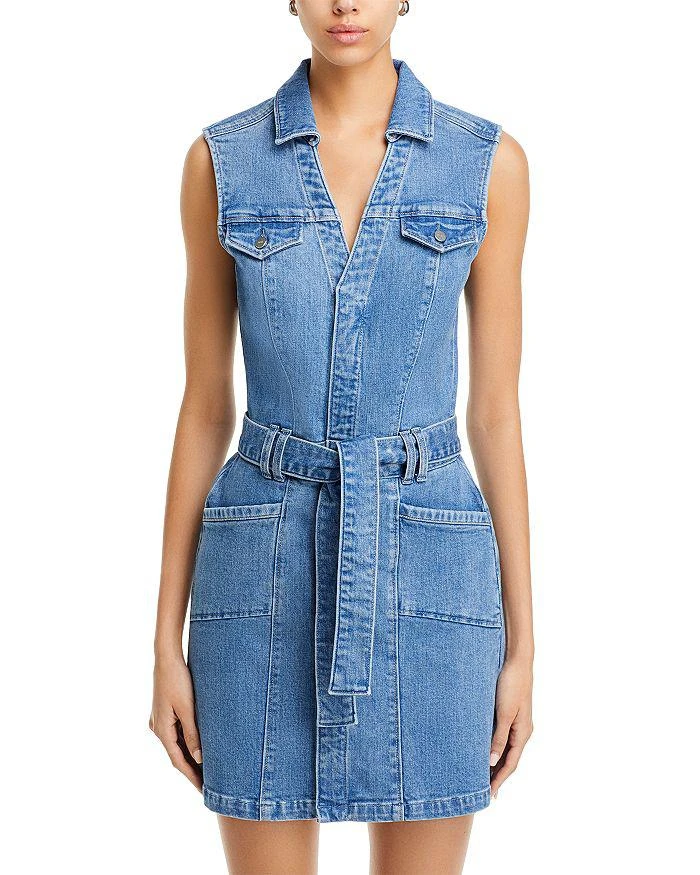 Paige Kelsee Self Tie Mini Dress 7