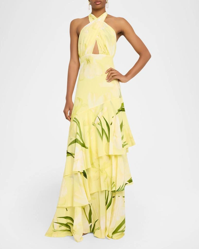 Cara Cara Amethyst Printed Tiered Silk Gown 2