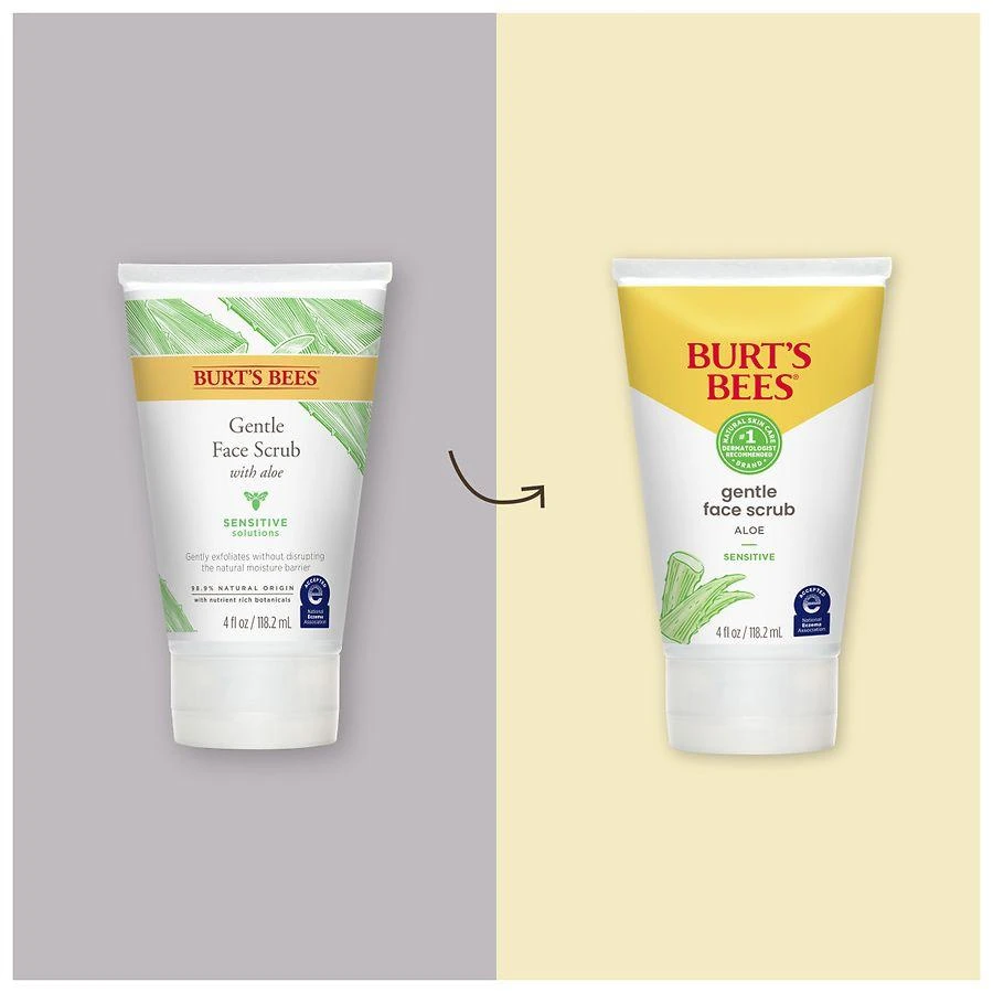 Burt's Bees Gentle Face Scrub with Aloe for Sensitive Skin 3