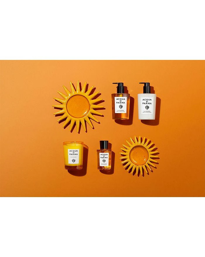 Acqua di Parma Buongiorno Hand and Body Wash 10 oz. 3