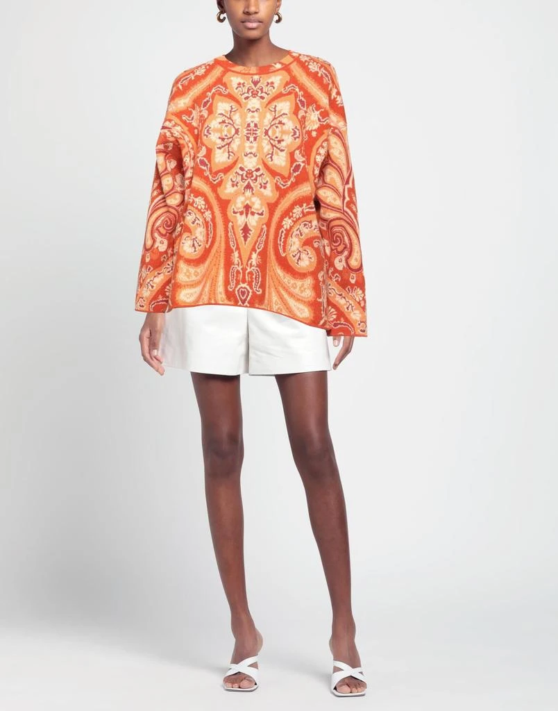 ETRO Sweater 2