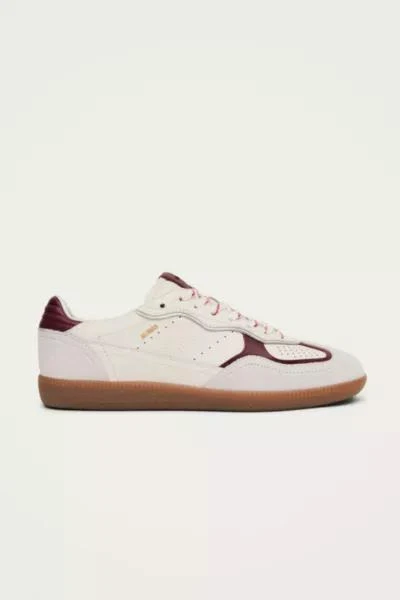 ALOHAS ALOHAS tb. 490 Leather Sneakers 1