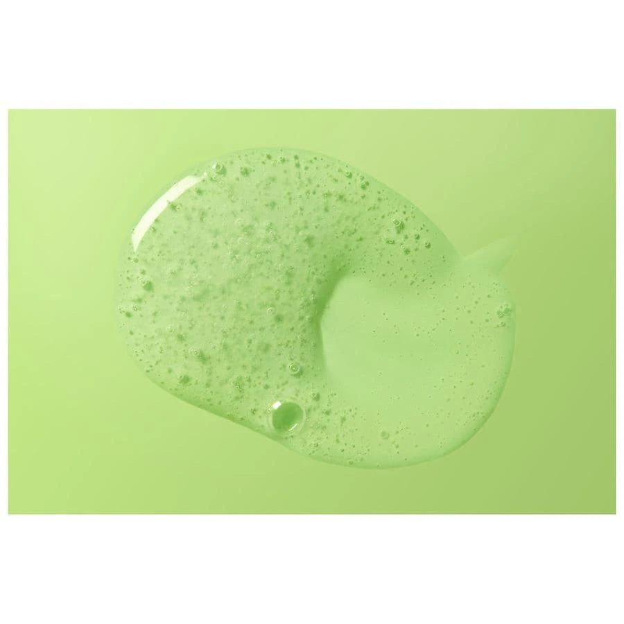 Burt's Bees Gentle Face Scrub with Aloe for Sensitive Skin 7