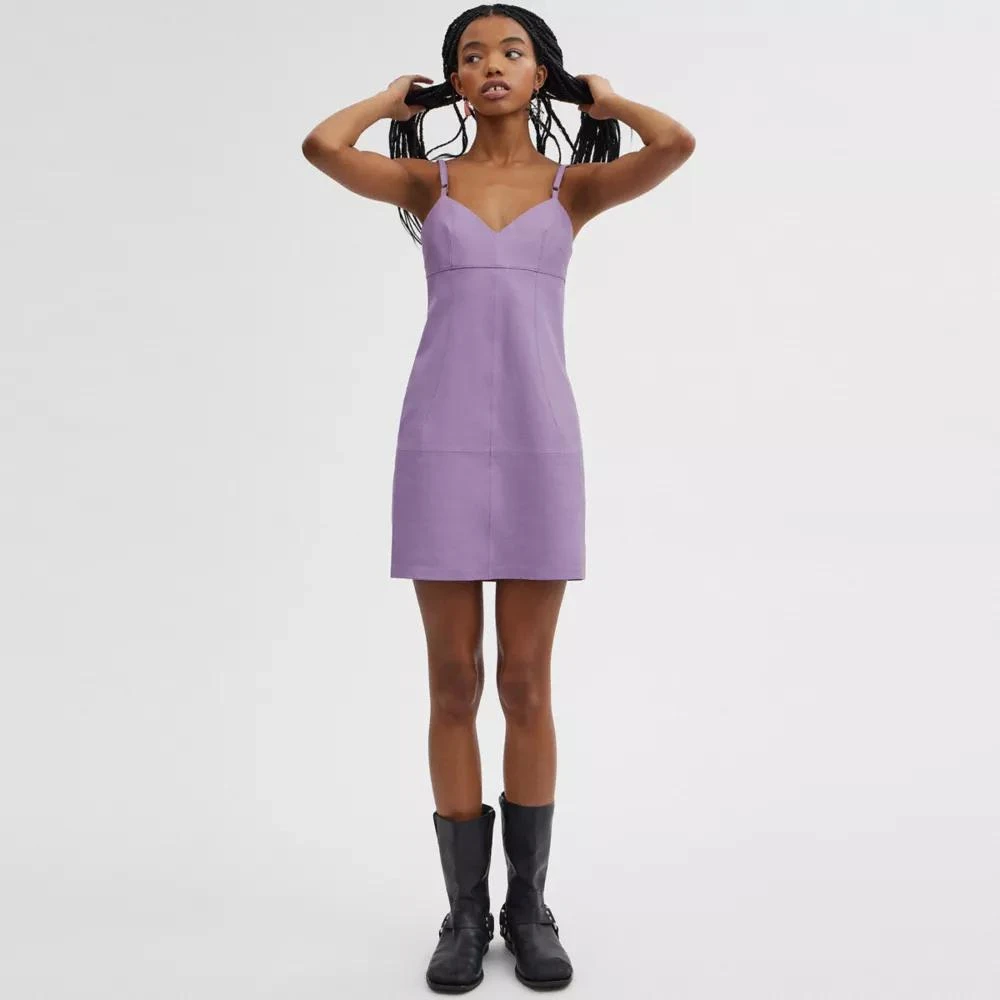 Coach Short Leather Dress 2