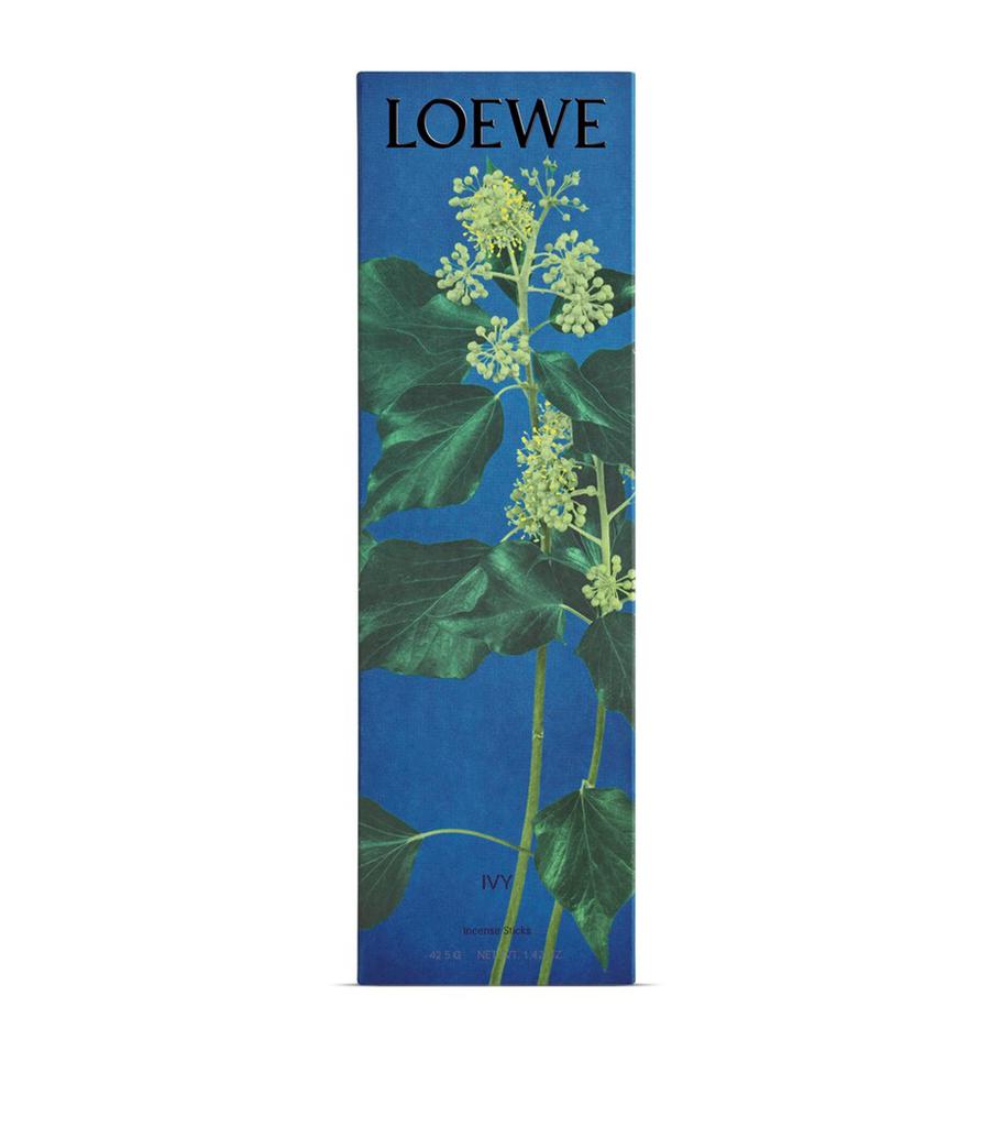 Loewe Tomato Leaves Incense Refill - Thumbnail 2
