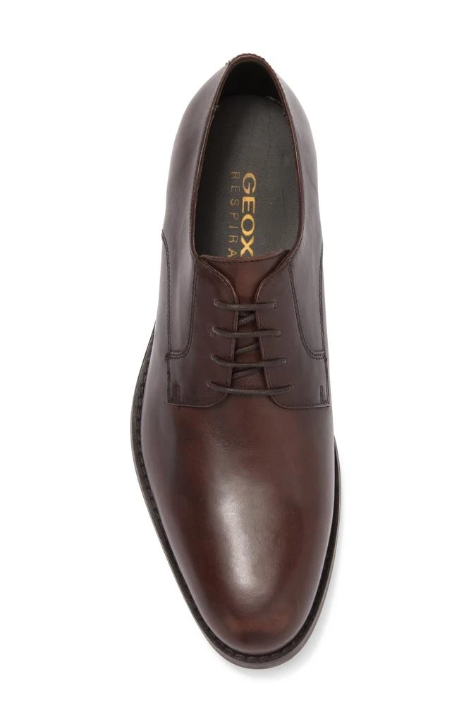 Geox Hampstead Derby 4