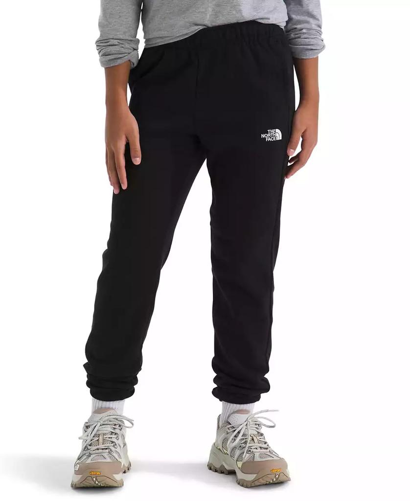 The North Face Big Boys Teen Evolution Pants