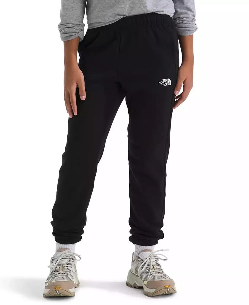 The North Face Big Boys Teen Evolution Pants 1